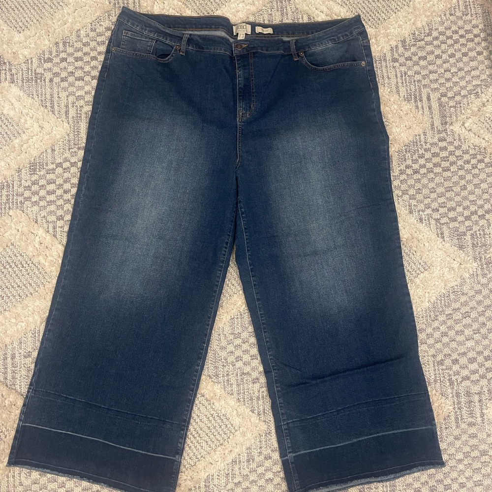 LOGO Lori Goldstein Wide Leg Blue Jeans Plus Size 28W